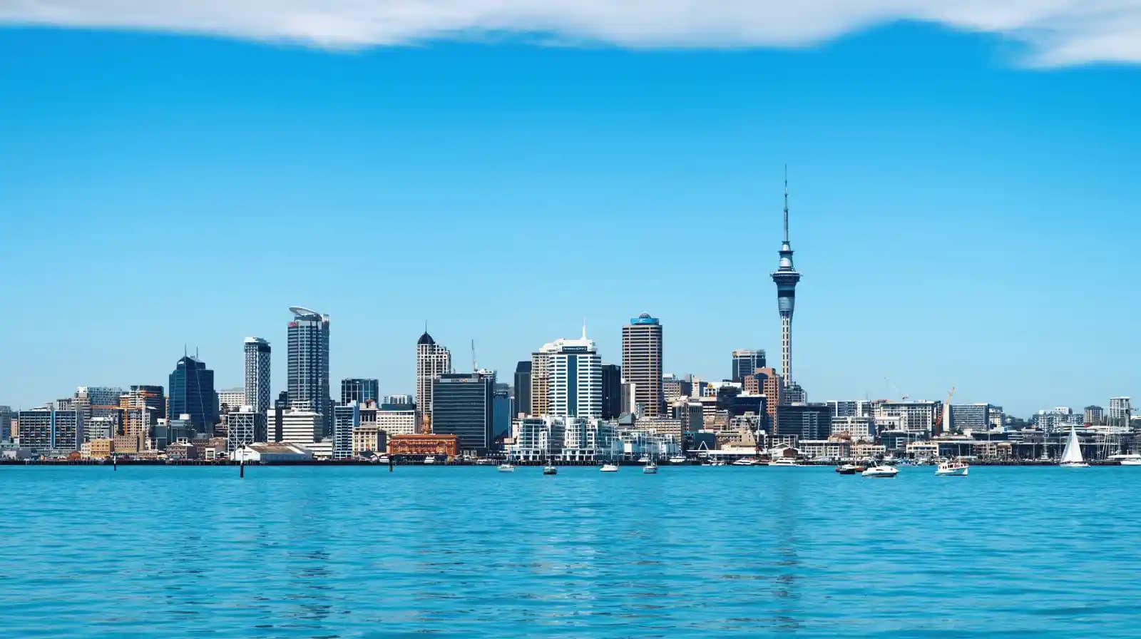 New Zealand RBI - Active Investor Plus Balanced Category